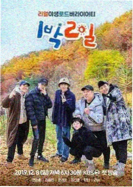乘风破浪第五季 综艺在线观看